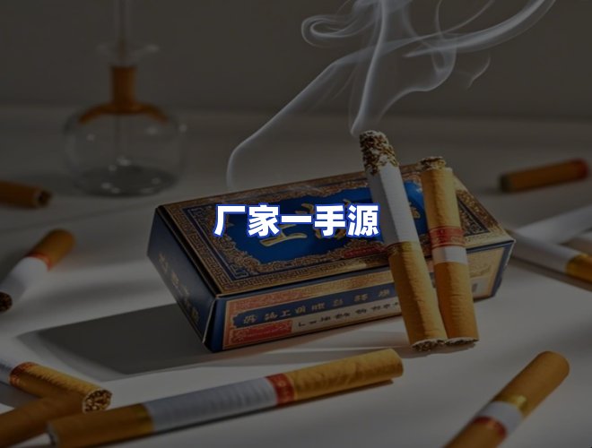 专业团队